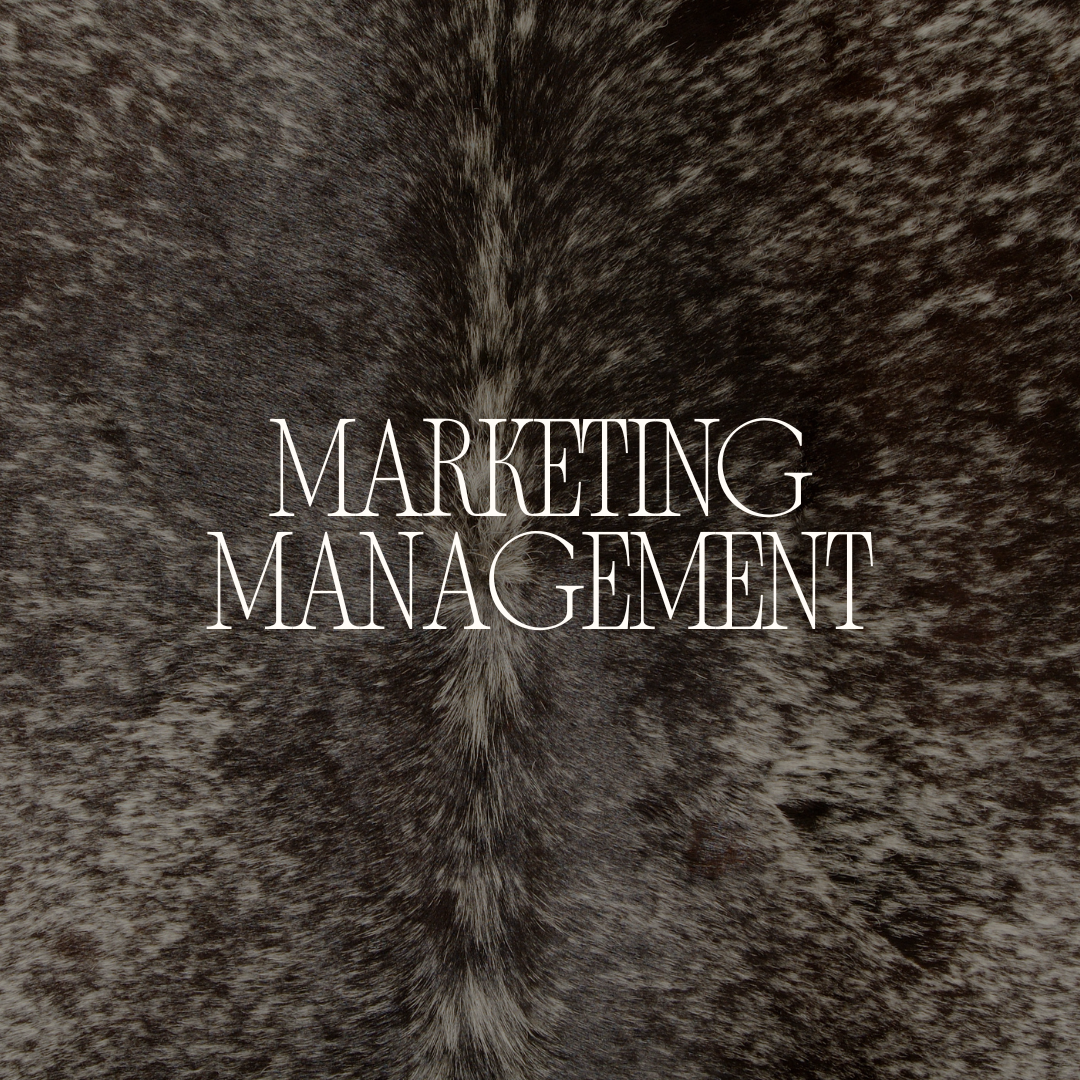 Marketing Management