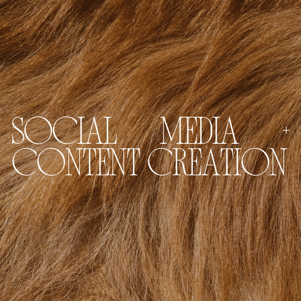 Social Media + Content Creation