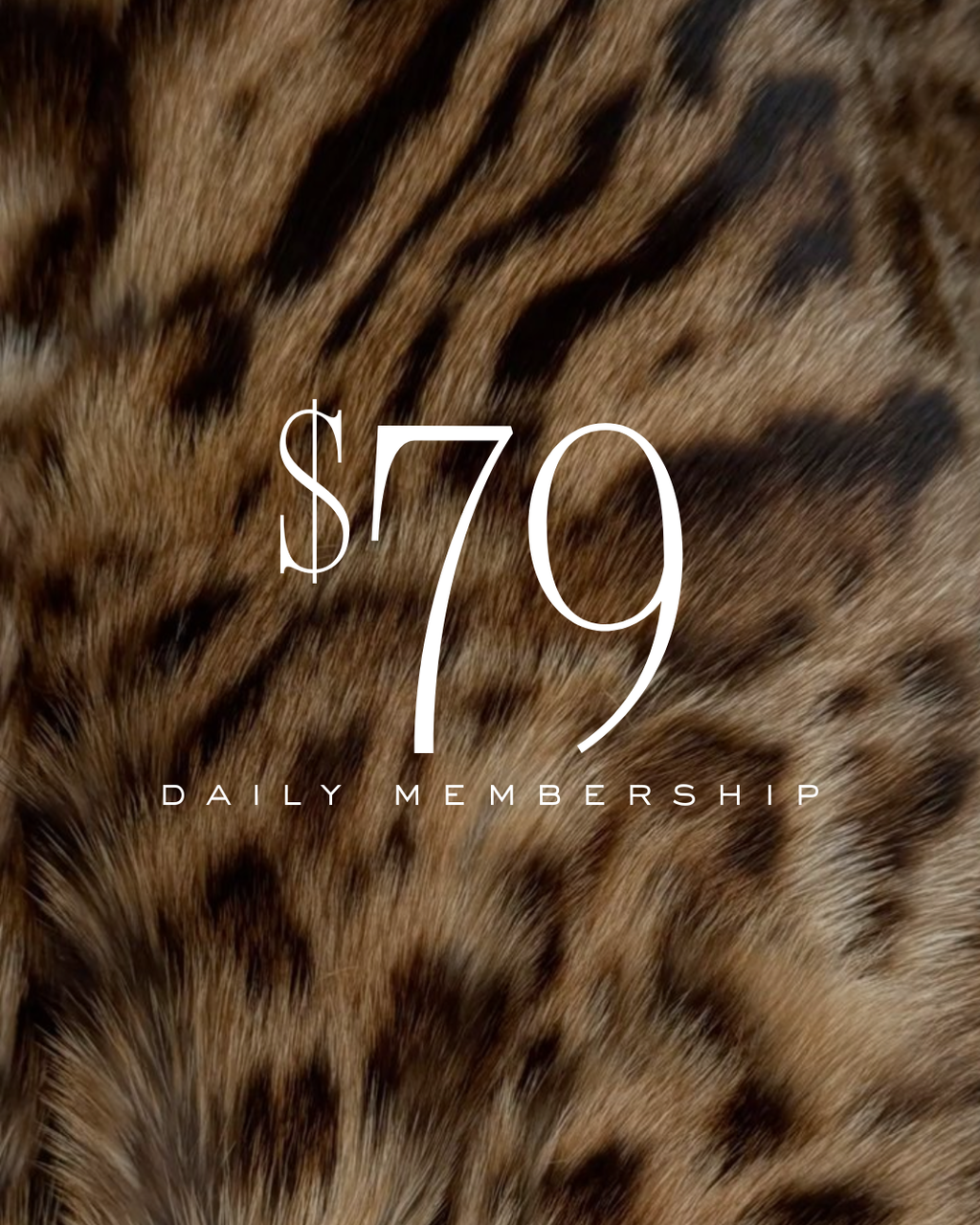 Clubhouse Membership